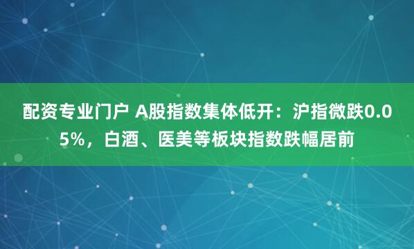 配资专业门户 A股指数集体低开：沪指微跌0.05%，白酒、医美等板块指数跌幅居前