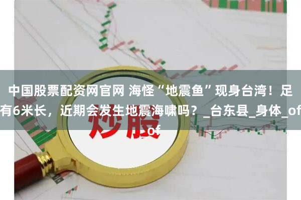 中国股票配资网官网 海怪“地震鱼”现身台湾！足有6米长，近期会发生地震海啸吗？_台东县_身体_of